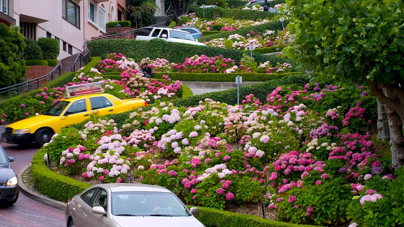 Con đường hoa Lombard Street - San Francisco