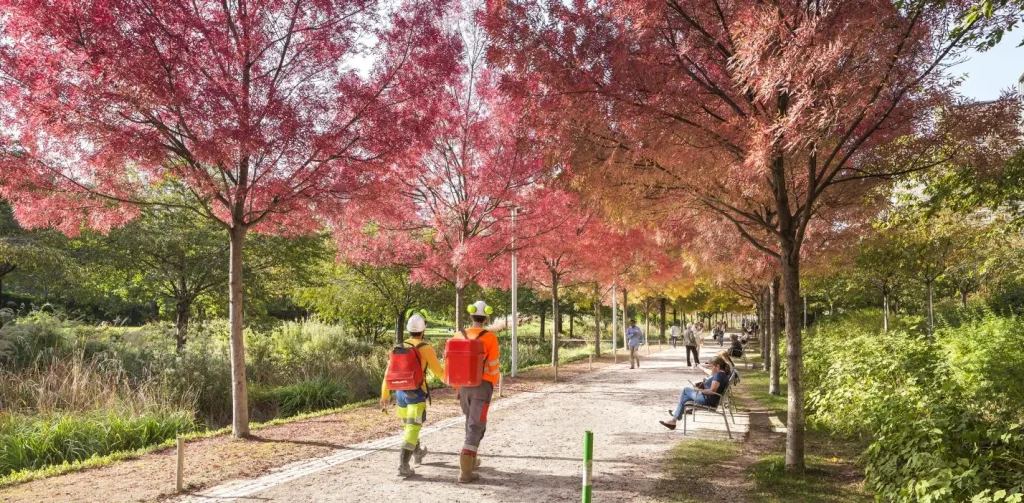 Lá đỏ ở Công viên Clichy-Batignolles