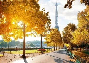 Mùa thu Paris rực rỡ sắc vàng giữa tháng 10