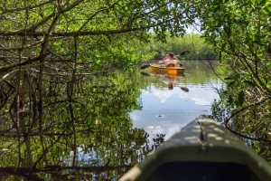 Everglades nằm ở miền nam Florida