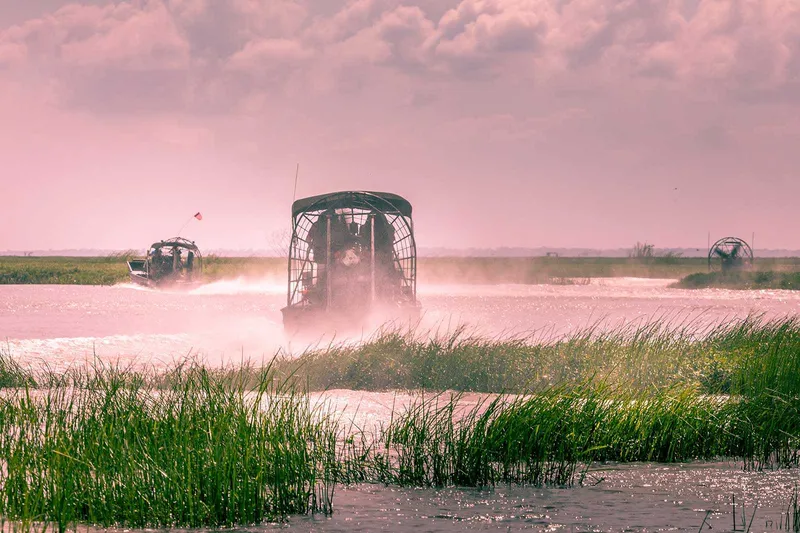 Tham quan Everglades bằng thuyền máy