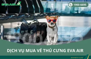 Dịch vụ mua vé thú cưng EVA AirDịch vụ mua vé thú cưng EVA Air