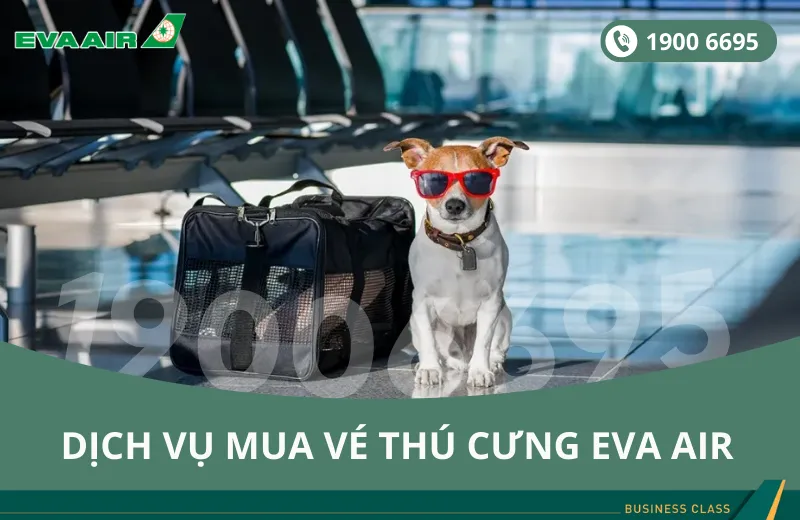 Dịch vụ mua vé thú cưng EVA AirDịch vụ mua vé thú cưng EVA Air